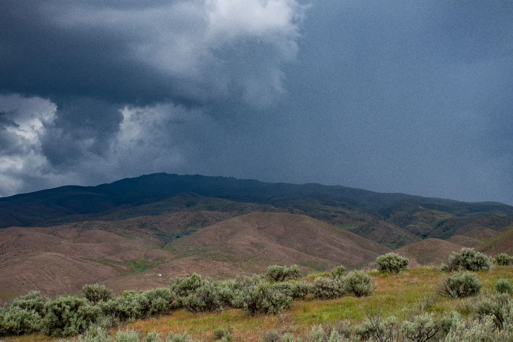 rainrollingin