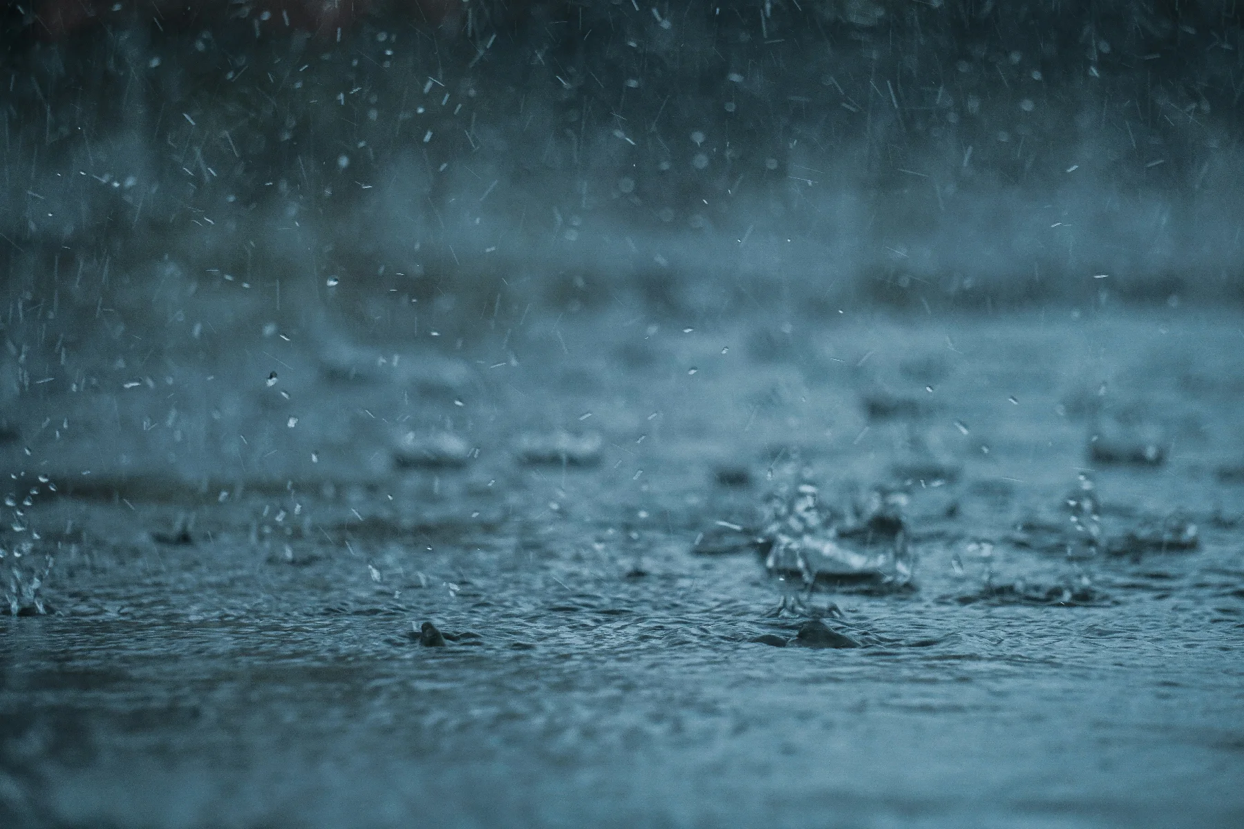raindrops