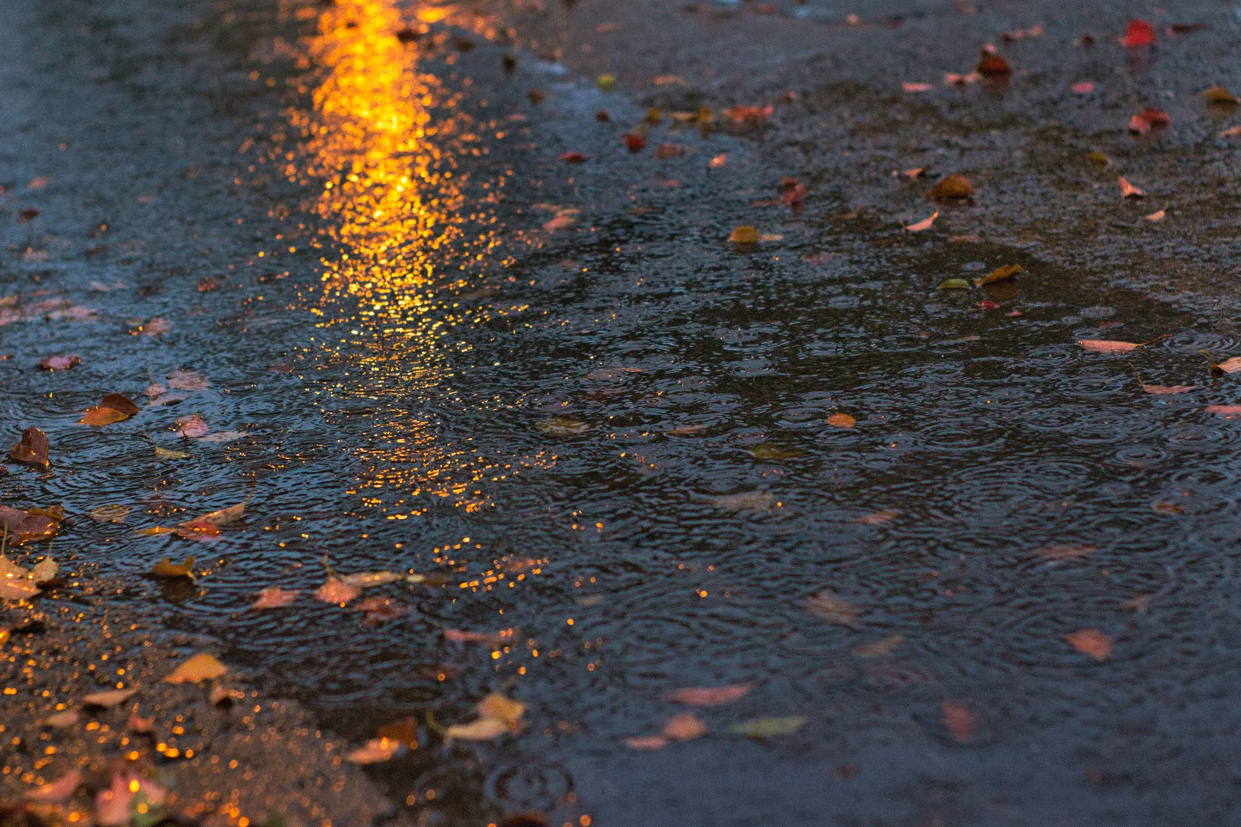 autumnrain