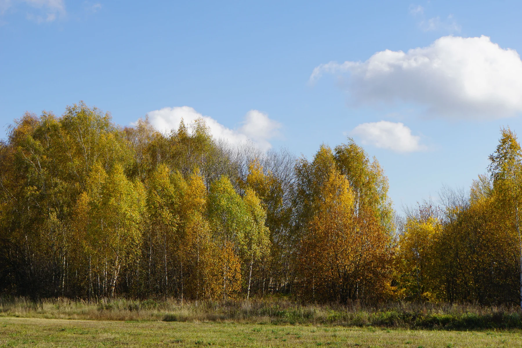 partly cloudy fall day
