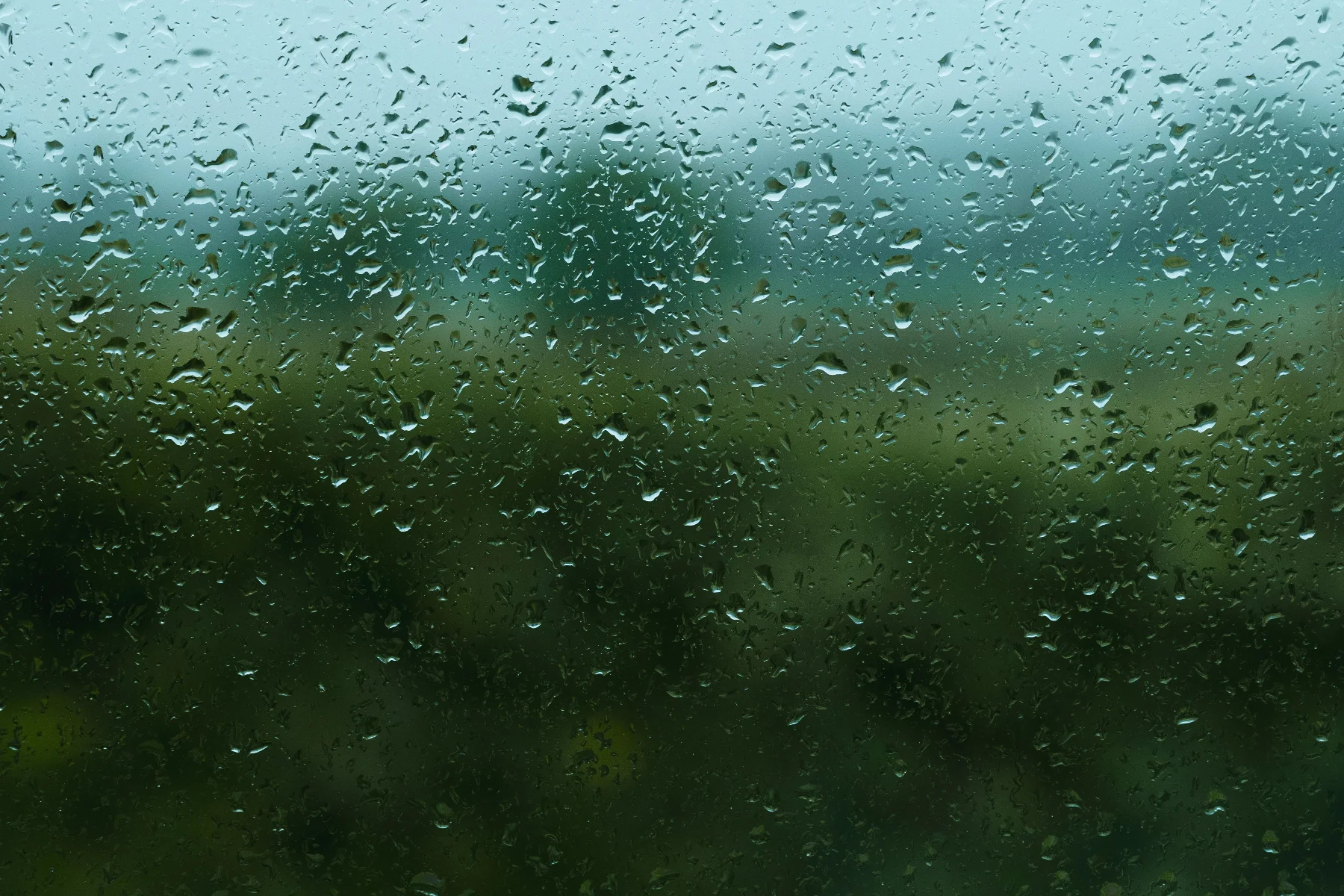 raindrops